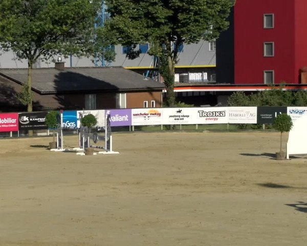 Reitturnier Dagmersellen 2022