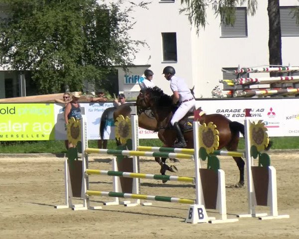 Reitturnier Dagmersellen 2022