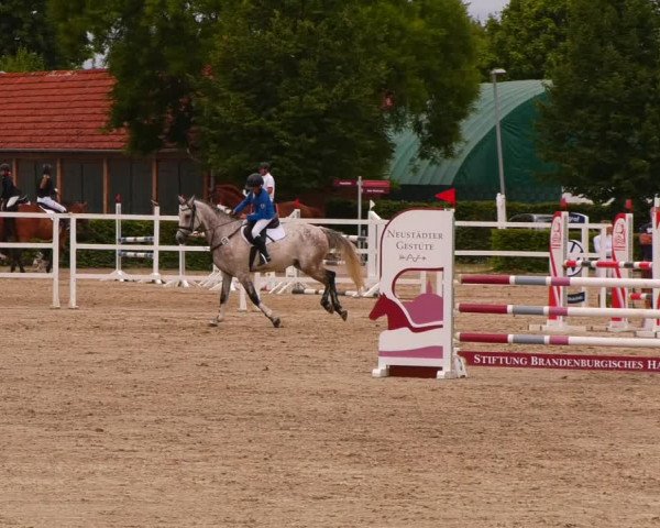 Reitturnier Neustadt/Dosse 2022