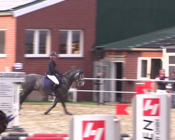 Springturnier Lüdinghausen 2021