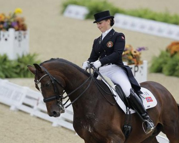 stallion Pro - Set (KWPN (Royal Dutch Sporthorse), 1997, from Jetset-D 145 FIN)