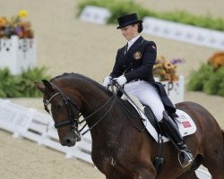 stallion Pro - Set (KWPN (Royal Dutch Sporthorse), 1997, from Jetset-D 145 FIN)