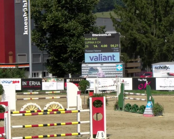 Reitturnier Dagmersellen 2022