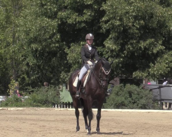 Reitturnier Kottingbrunn 2022