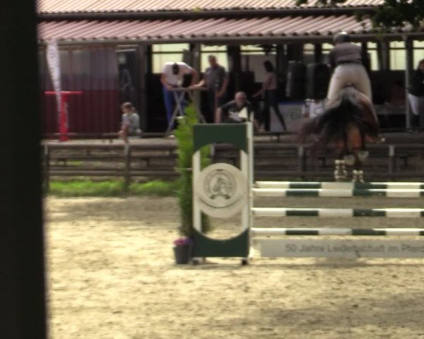 Reitturnier Marienheide-Kempershöhe 2022
