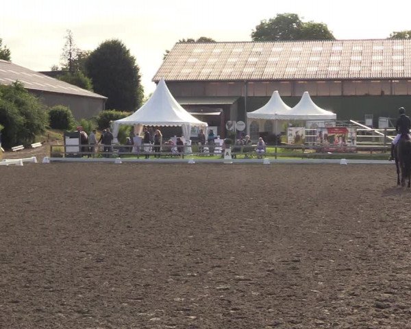 Reitturnier Kleinsolt 2022