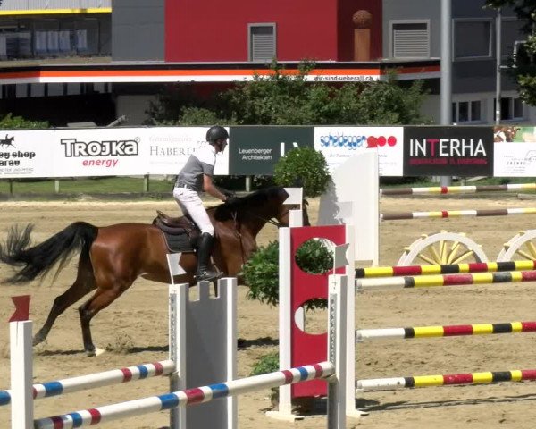 Reitturnier Dagmersellen 2022
