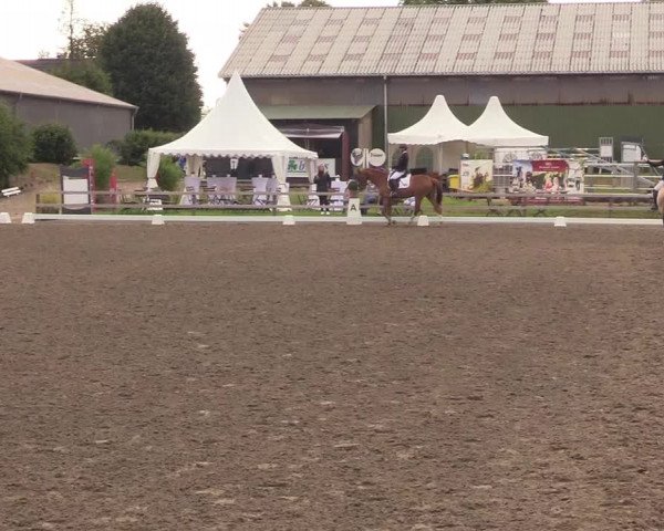 Reitturnier Kleinsolt 2022