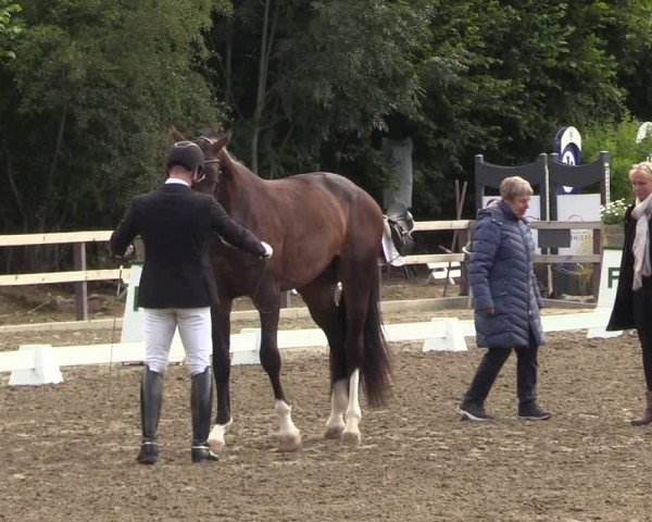 Reitturnier Kleinsolt 2022