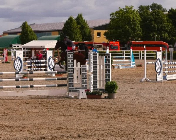 Reitturnier Neustadt/Dosse 2022