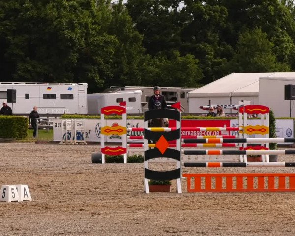 Reitturnier Neustadt/Dosse 2022