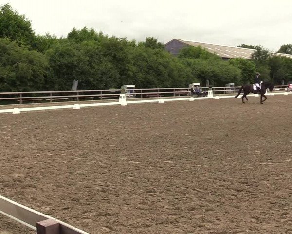 Reitturnier Kleinsolt 2022