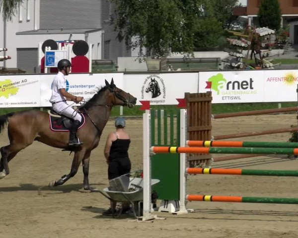 Reitturnier Dagmersellen 2022