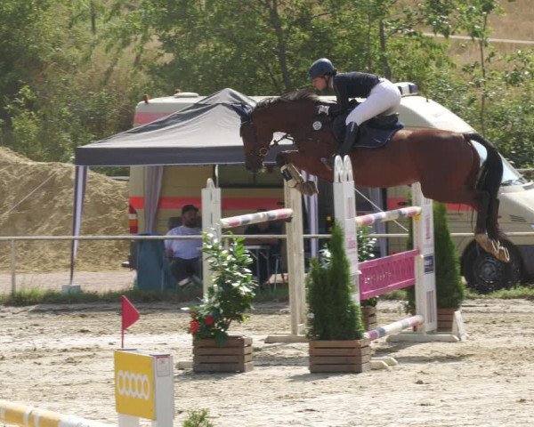 Reitturnier Heiligenwald 2022