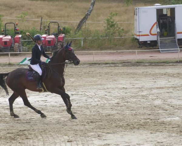 Reitturnier Heiligenwald 2022