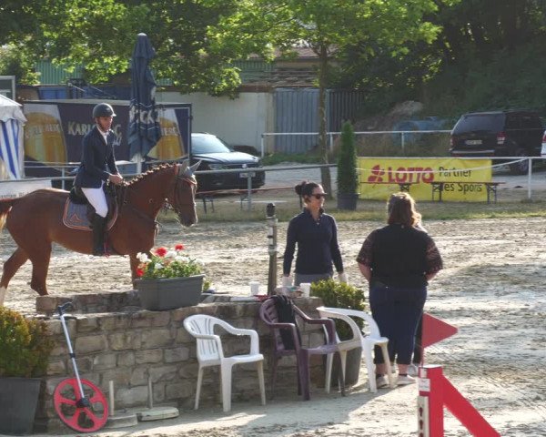 Reitturnier Heiligenwald 2022