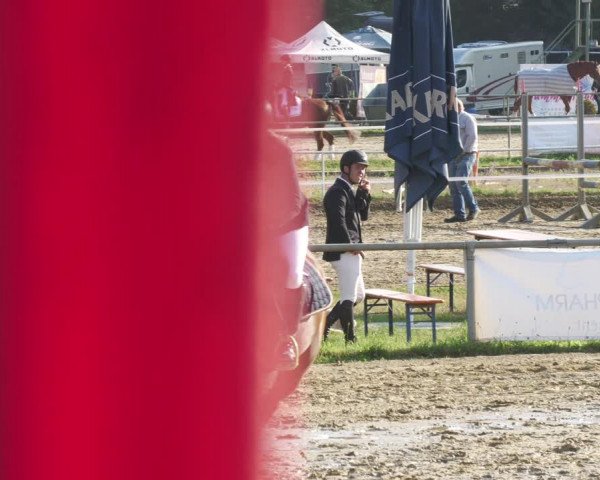 Reitturnier Heiligenwald 2022