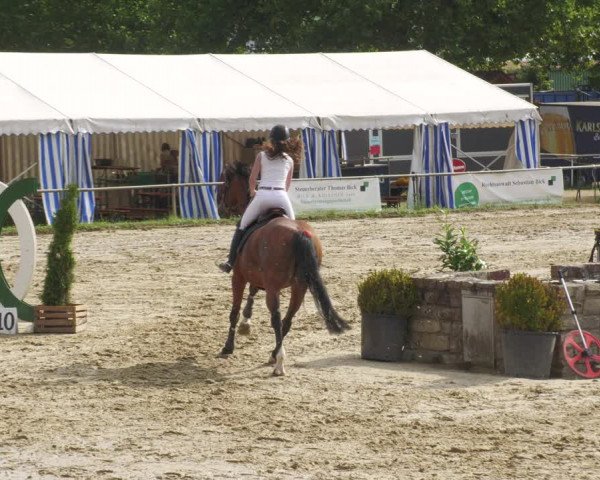 Reitturnier Heiligenwald 2022