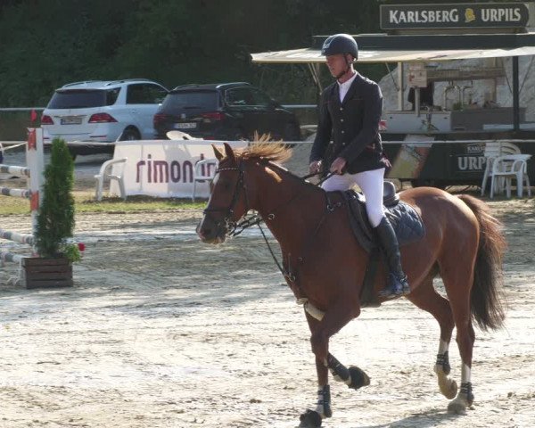 Reitturnier Heiligenwald 2022