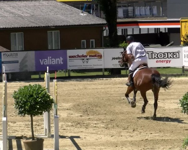 Reitturnier Dagmersellen 2022
