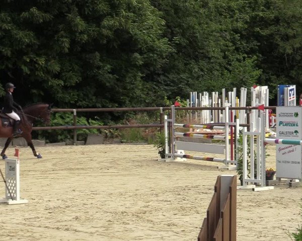 Reitturnier Marienheide-Kempershöhe 2022