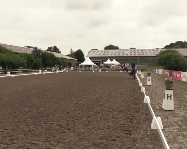 Reitturnier Kleinsolt 2022