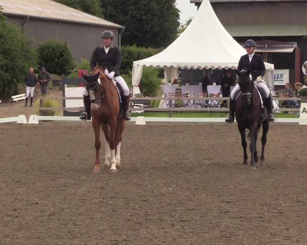 Reitturnier Kleinsolt 2022