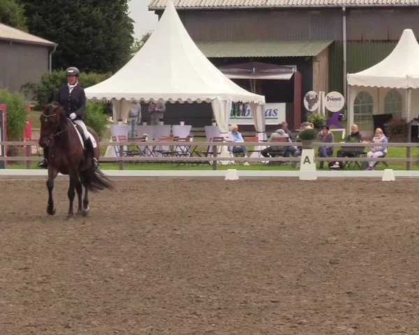 Reitturnier Kleinsolt 2022