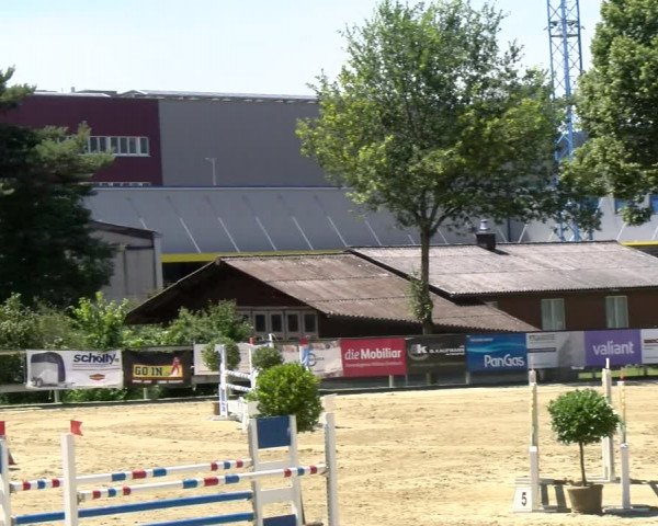 Reitturnier Dagmersellen 2022