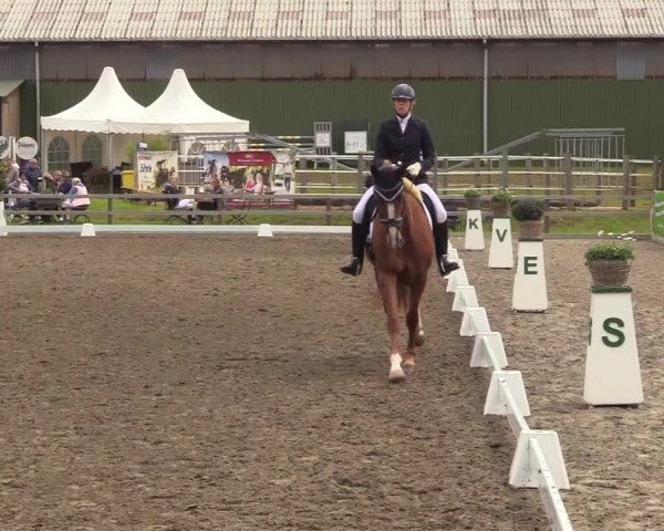 Reitturnier Kleinsolt 2022