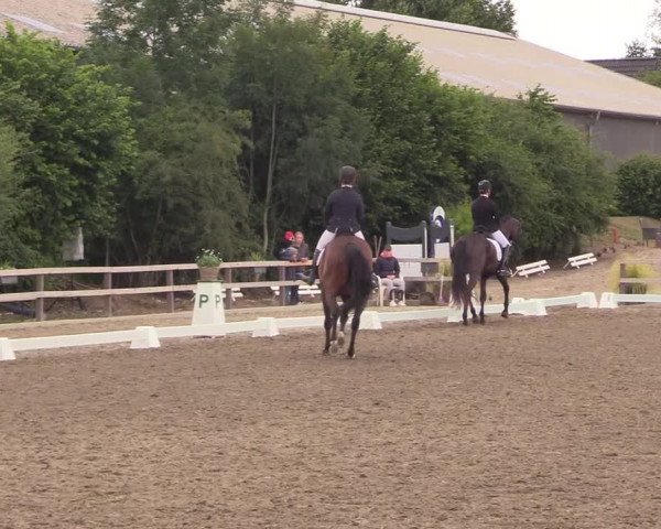 Reitturnier Kleinsolt 2022