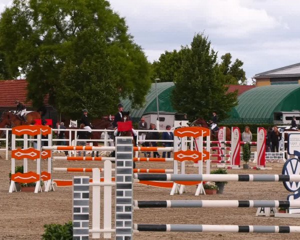 Reitturnier Neustadt/Dosse 2022