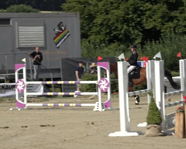 Reitturnier Weiswampach 2022