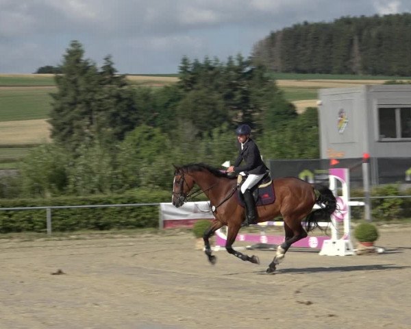 Reitturnier Weiswampach 2022