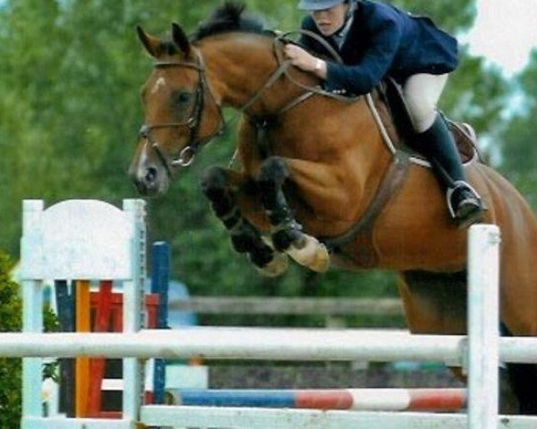 broodmare Fragance de Chalus (Selle Français, 1993, from Jalisco B)