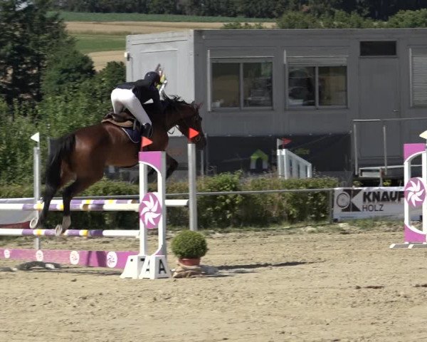 Reitturnier Weiswampach 2022