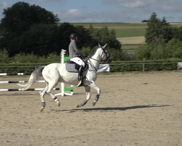 Reitturnier Weiswampach 2022