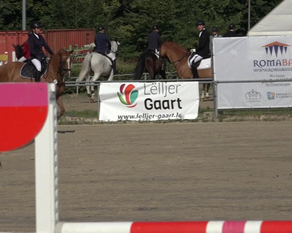 Reitturnier Weiswampach 2022