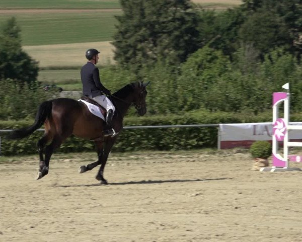 Reitturnier Weiswampach 2022