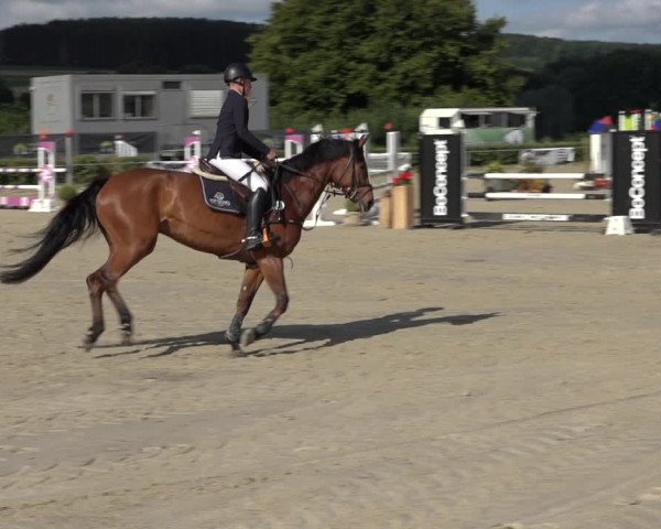 Reitturnier Weiswampach 2022