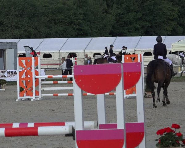 Reitturnier Weiswampach 2022