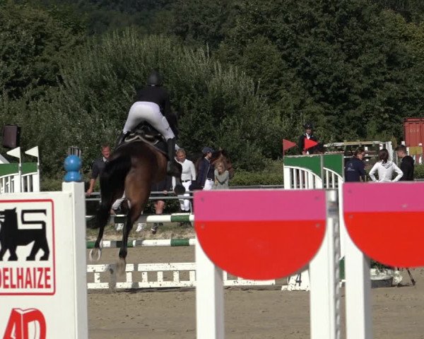 Reitturnier Weiswampach 2022