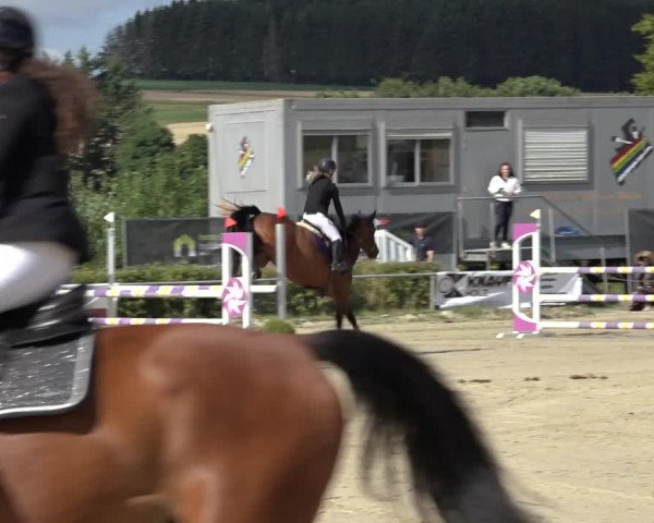Reitturnier Weiswampach 2022