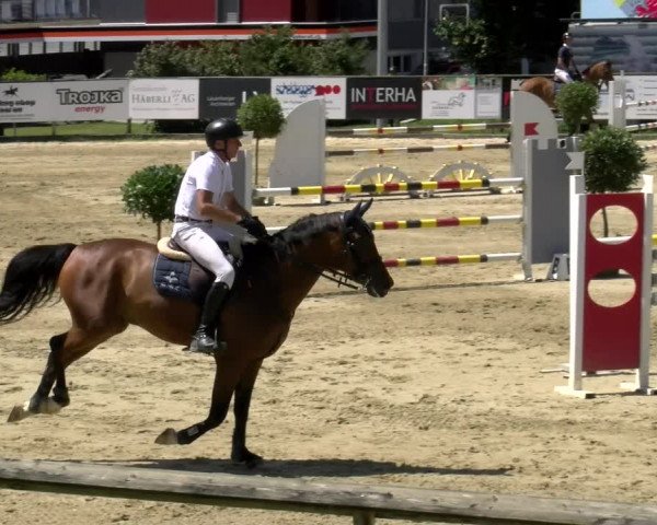 Reitturnier Dagmersellen 2022