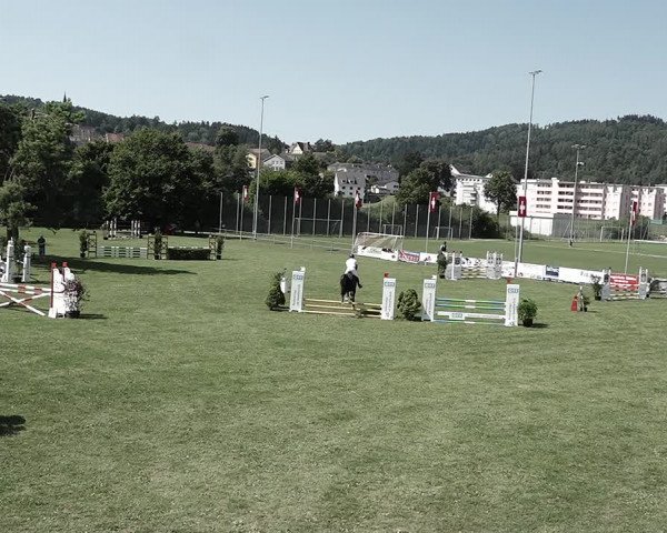 Reitturnier Elgg 2022