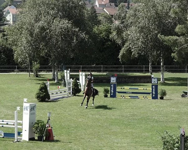 Reitturnier Elgg 2022