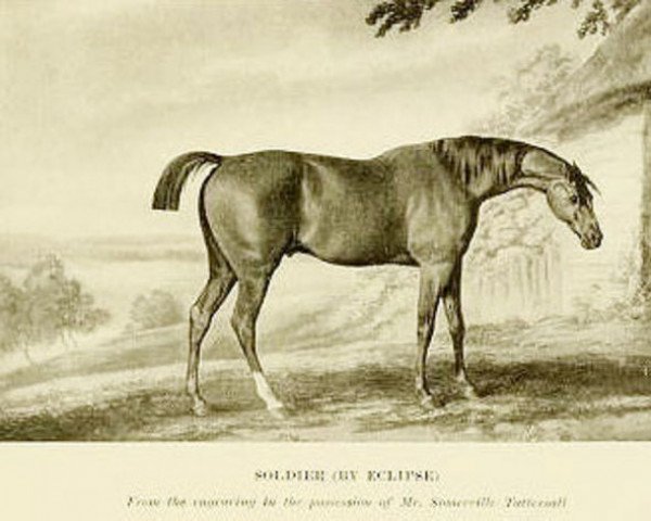 horse Soldier (Thoroughbred, 1779, from Eclipse xx)