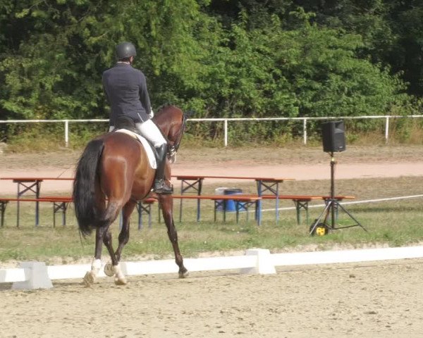 Reitturnier Heiligenwald 2022
