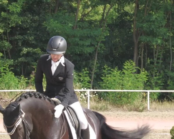 Reitturnier Heiligenwald 2022