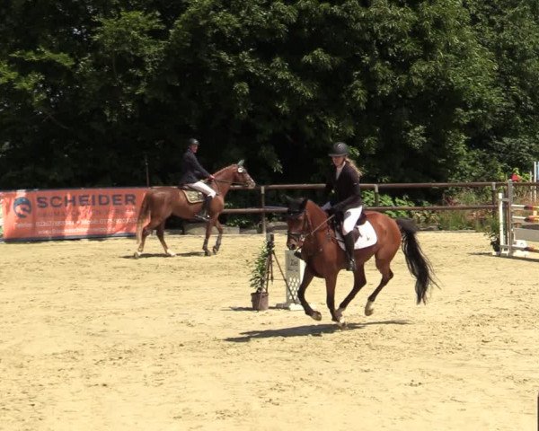 Reitturnier Marienheide-Kempershöhe 2022